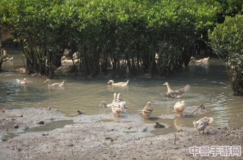 《全境封锁2》高手进阶:精准设置辅助瞄准,提升射击命中率秘籍! 《全境封锁2》高手进阶:精准设置辅助瞄准,提升射击命中率秘籍!