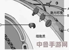 法力注射器图纸绝密位置,探索奇幻世界的能量之源! 法力注射器图纸绝密位置,探索奇幻世界的能量之源!