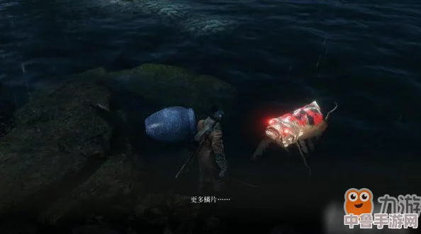 只狼鱼王白须:神秘用途与强大力量解析! 只狼鱼王白须:神秘用途与强大力量解析!