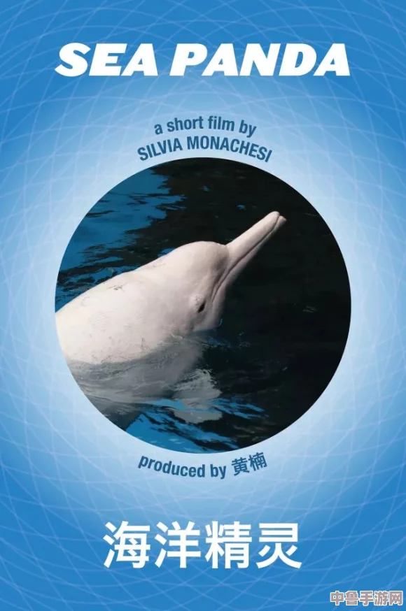 神秘海洋精灵现身!manta haya17777维语的特点揭秘,探索独特语言世界