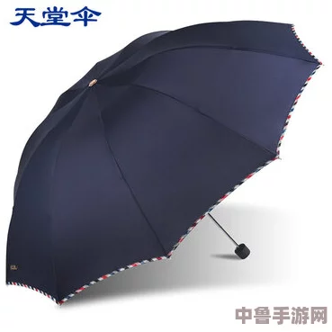 雨伞大作战:一晚上用了好几个雨伞,谁是最后的"伞"存者? 雨伞大作战:一晚上用了好几个雨伞,谁是最后的"伞"存者?