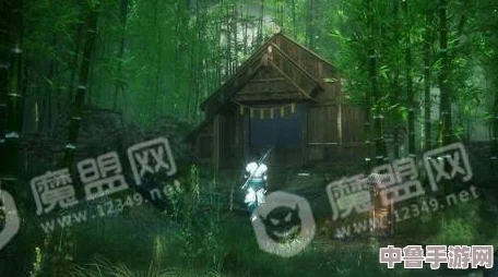 《隐龙传：影踪》深度攻略秘籍，解锁全剧情与隐藏要素终极指南！