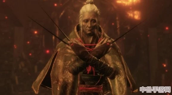 《只狼：影逝二度》深度攻略——鬼庭刑部雅孝无伤打法全解析！