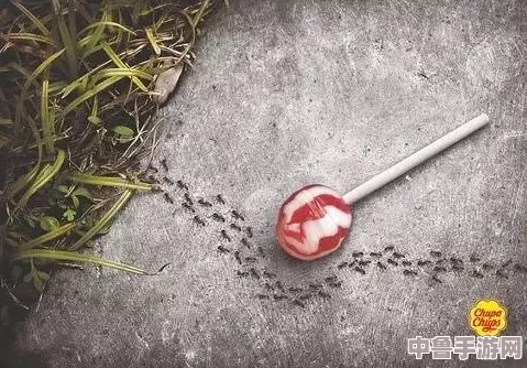 掌握我的世界:创意棺材制作秘籍,打造独特殡葬艺术品教程 掌握我的世界:创意棺材制作秘籍,打造独特殡葬艺术品教程