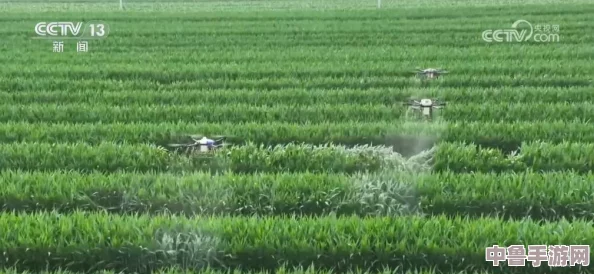 智慧农田新革命:精准灌溉系统与液收集系统齐发力,打造绿色丰收奇迹 智慧农田新革命:精准灌溉系统与液收集系统齐发力,打造绿色丰收奇迹