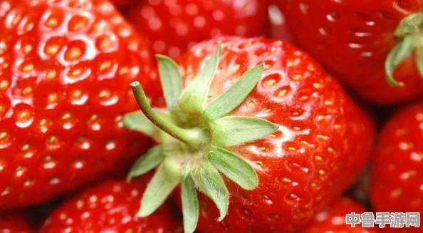 草莓视频安全下载:甜蜜多汁的视觉盛宴,让你欲罢不能的精彩内容 草莓视频安全下载:甜蜜多汁的视觉盛宴,让你欲罢不能的精彩内容