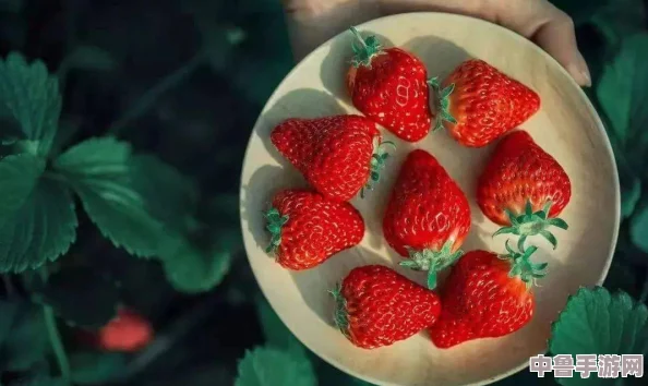 草莓视频安全下载:甜蜜多汁的视觉盛宴,让你欲罢不能的精彩内容 草莓视频安全下载:甜蜜多汁的视觉盛宴,让你欲罢不能的精彩内容