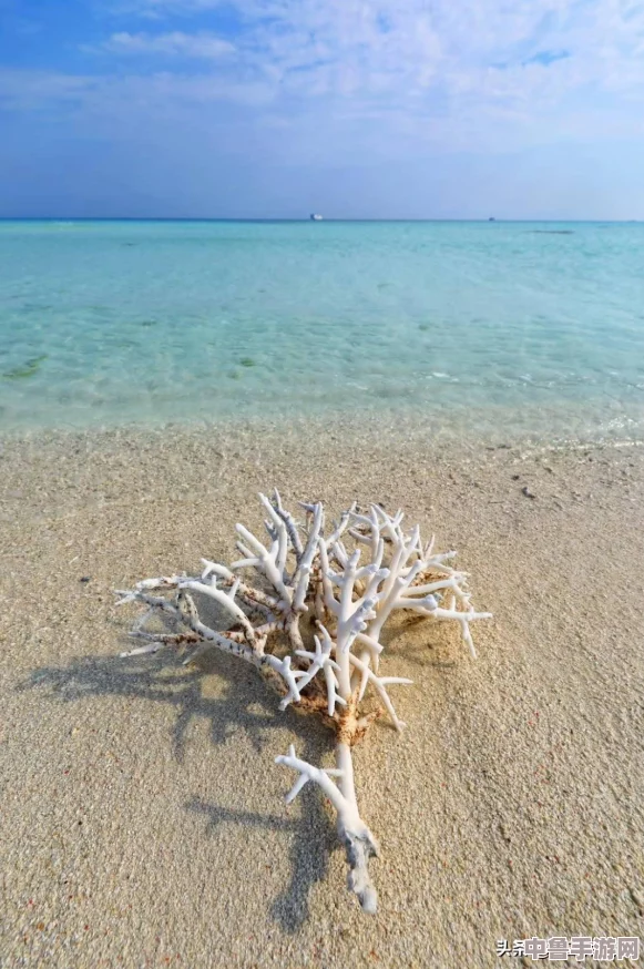 《无尽航线》新手启航秘籍：图文并茂，轻松掌握游戏精髓！