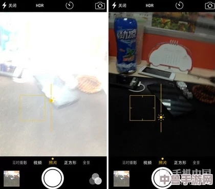 神秘代码解锁隐藏关卡：zjy卫生间提取码揭开虚拟世界的秘密入口
