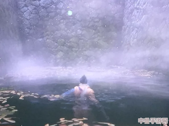 《只狼》潜水秘籍：如何优雅下潜，探索隐藏水域奥秘！