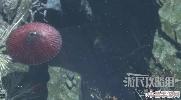 《只狼》潜水秘籍：如何优雅下潜，探索隐藏水域奥秘！