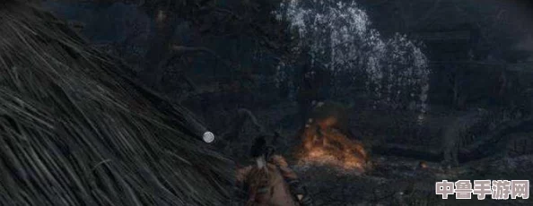 《只狼》潜水秘籍：如何优雅下潜，探索隐藏水域奥秘！