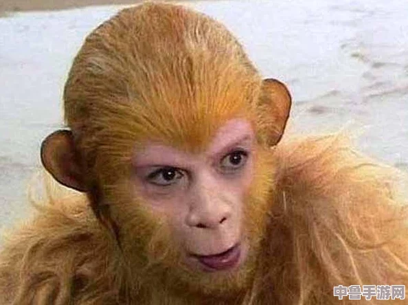 沈阳58岁老阿姨叫的没谁了吗?"原神"玩家惊呼:这操作我愿称之为神仙阿姨! 沈阳58岁老阿姨叫的没谁了吗?"原神"玩家惊呼:这操作我愿称之为神仙阿姨!