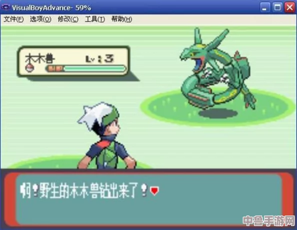 口袋妖怪金手指:代码运用技巧与实战秘籍! 口袋妖怪金手指:代码运用技巧与实战秘籍!