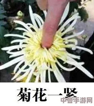 错一道题在菊花里放一支笔,答对一题就拔出来,看谁最后屁股开花 错一道题在菊花里放一支笔,答对一题就拔出来,看谁最后屁股开花