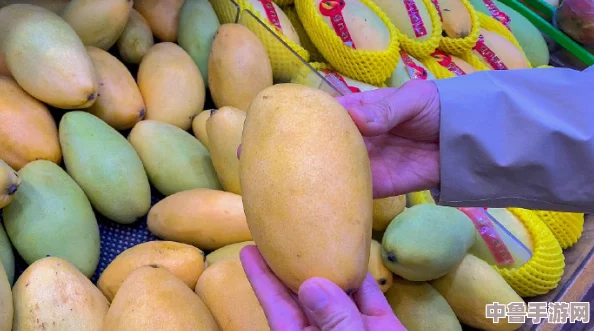 日产精品一线二线三线芒果网友称赞口感绝佳值得回购的水果选择 日产精品一线二线三线芒果网友称赞口感绝佳值得回购的水果选择