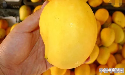 日产精品一线二线三线芒果网友称赞口感绝佳值得回购的水果选择 日产精品一线二线三线芒果网友称赞口感绝佳值得回购的水果选择