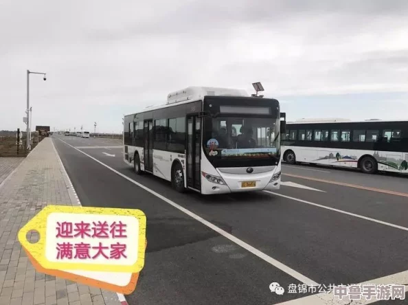 杨大壮和田桂花的公交车:爱情与梦想齐飞,一路向前不停歇的浪漫旅程 杨大壮和田桂花的公交车:爱情与梦想齐飞,一路向前不停歇的浪漫旅程