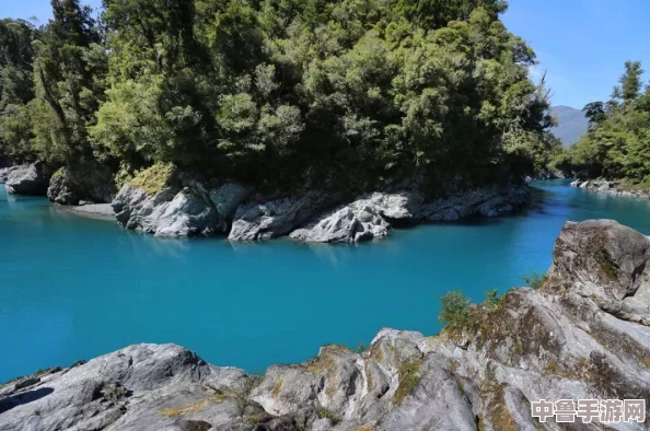 异形丛林危机：掌握第一人称视角切换秘籍，提升生存反应力教程！