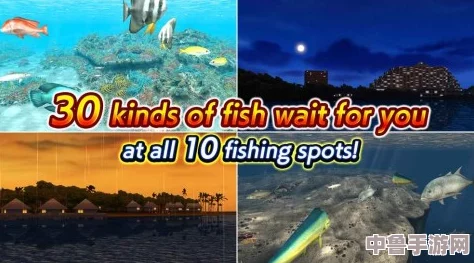 91九色蝌蚪91PORNV：欲望之海中畅游，激情四射的成人乐园等你来