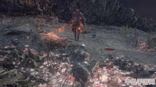 《黑暗之魂3》终极挑战：深度解析薪王化身全攻略，征服深渊的最终战役！