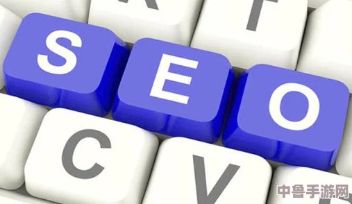 玩转短视频引流术,SEO短视频网页入口引流网站助你快速升级流量大师