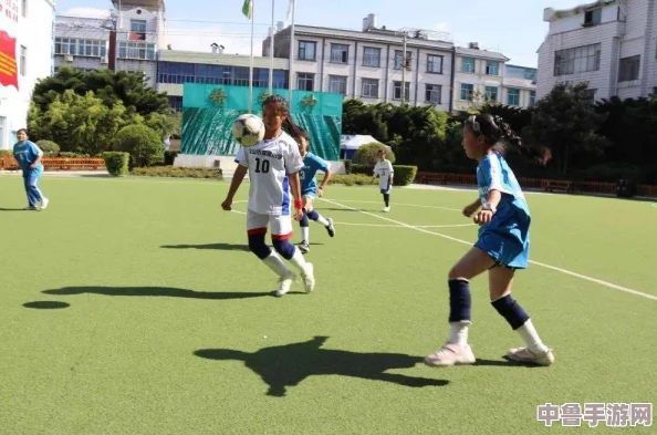 挥洒青春汗水,燃烧激情梦想：yn荡校园运动会掀起活力风暴