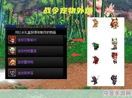 DNF：至尊宠物跨界全攻略，轻松实现角色共享新宠！