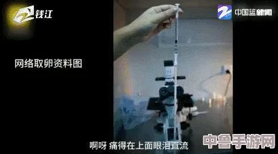裸交交,谁是最后的赢家？揭秘这场赤裸裸的交易游戏背后的真相