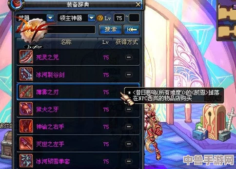 DNF男街霸2024终极毕业季：顶尖装备选择与搭配攻略