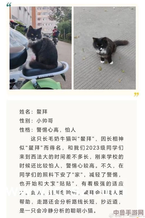 麻花传md0174苏蜜清歌许依然:探索角色深度,感受情感共鸣与故事魅力的完美交融 麻花传md0174苏蜜清歌许依然:探索角色深度,感受情感共鸣与故事魅力的完美交融