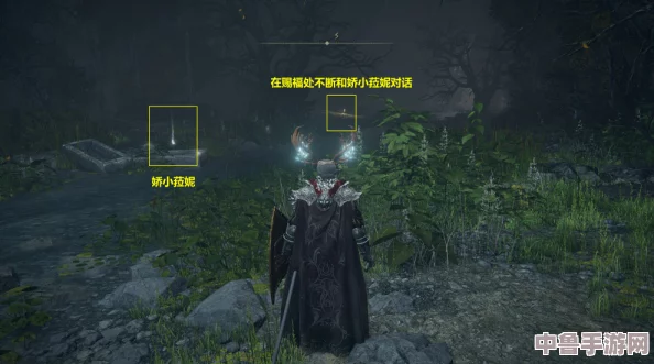深度探索艾尔登法环：菈妮支线剧情全攻略，解锁隐藏结局的必经之路！
