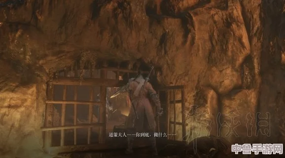 《只狼》深度探索：道顺任务全攻略，如何完美执行每一步挑战！