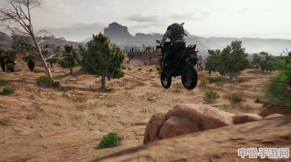 绝地求生：PUBG极致画质设定指南，打造沉浸式战场体验！