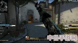 暴躁老阿姨CSGO：一场令人捧腹的游戏之旅，解锁老玩家的疯狂与幽默感！