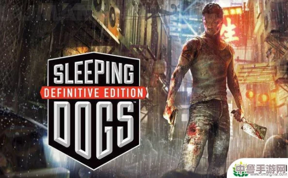 Steam《热血无赖》轻松切换中文设置，畅享无障碍游戏之旅！