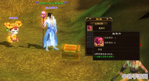 天龙八部：百宝书匣开启惊喜瞬间，珍稀物品一网打尽！