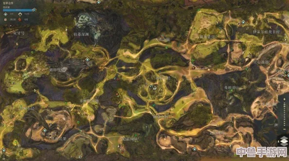 探索未知领域：激战2迈古玛腹地的神秘路径与精确位置！