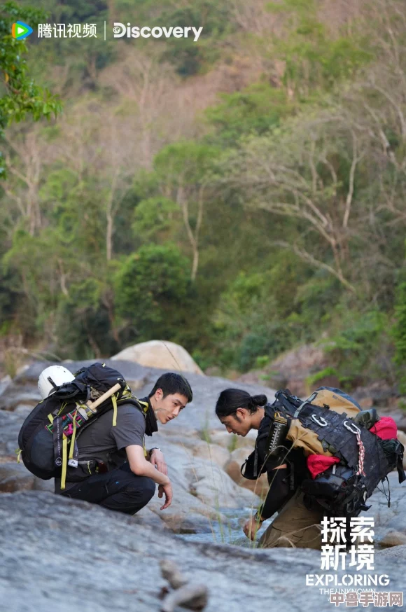 四虎最新地域：探索未知领域,开启冒险之旅,挑战自我极限,谁与争锋？