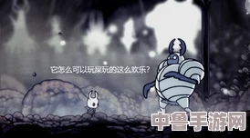 空洞骑士：探索隐秘之地，寻找强大白色防御者踪迹！