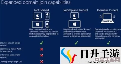 日本Windows Server中网友热评：稳定性与安全性的完美结合，助力企业数字化转型的最佳选择