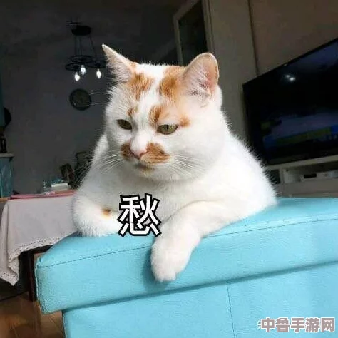喵星人集结!探索猫咪最新永久地域网名,解锁萌宠专属昵称宝藏 喵星人集结!探索猫咪最新永久地域网名,解锁萌宠专属昵称宝藏