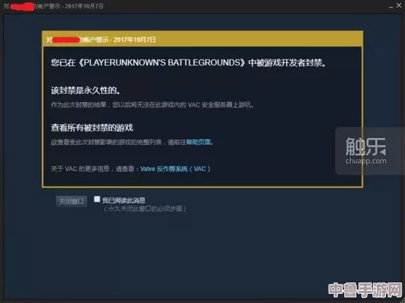 Steam账号交易安全：风险与防范措施全解析！
