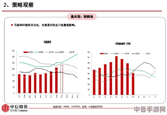 wwwwwwxxxxx：用户深度分析揭示其独特优势与潜在改进空间，激发市场竞争新思路