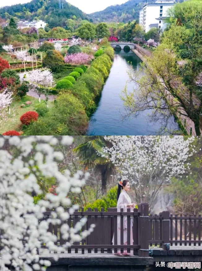“张怕芝的毛又多又密”，她对于美的独特见解让人赞叹不已，真是与众不同的风格和魅力！