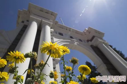 李家沱汇清华实验中学：学霸养成记，智慧之花绽放的摇篮