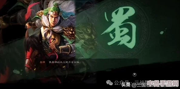 姜维关银屏刘备飞熊骑兵书：玩家热评融合精彩战术与角色深度的一部史诗之作