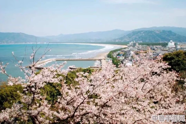 日本高清一卡二卡三卡四卡免费：解锁极致画质，畅享视觉盛宴