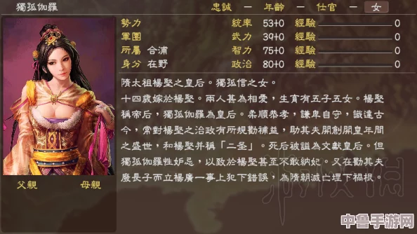 三国志13威力加强版：血色衣冠绝美女将，陈圆圆专属头像惊艳合集！