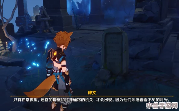 《原神》常夜灵庙迷宫全路径，宝箱获取秘籍大公开！